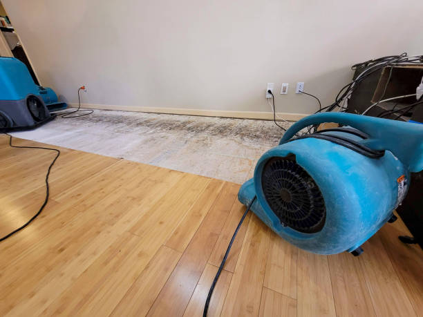 Professional Water Removal technician working in Tonopah, AZ
